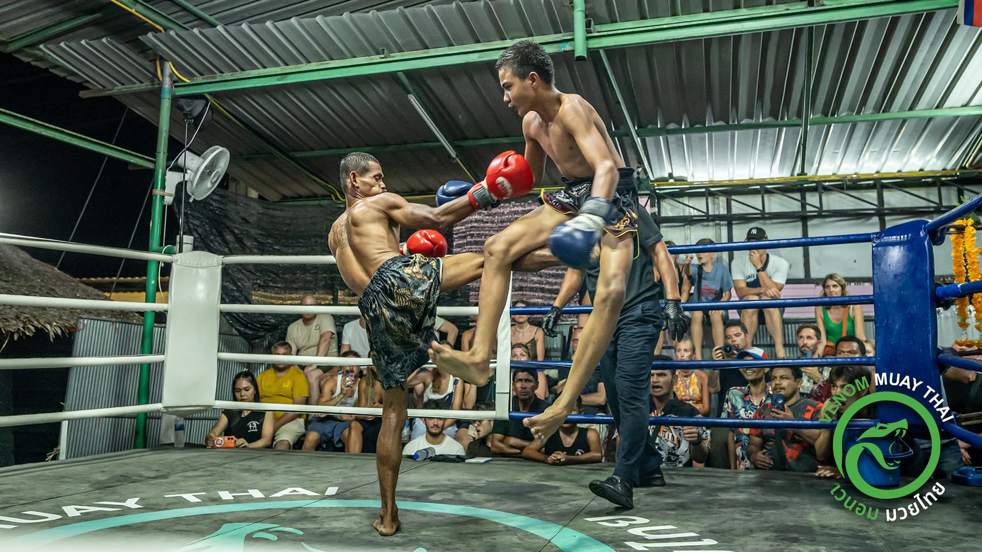 Fight night Venom Muay Thai Gym