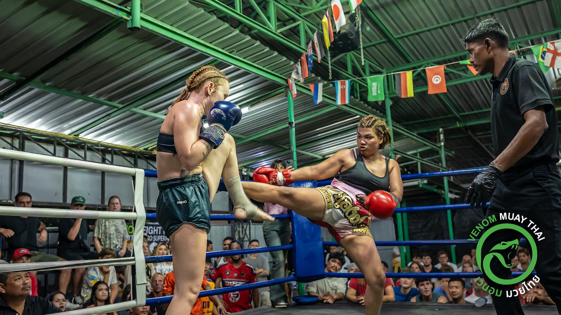 Fight night Venom Muay Thai Gym